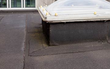 disadvantages of Skaill flat roofs