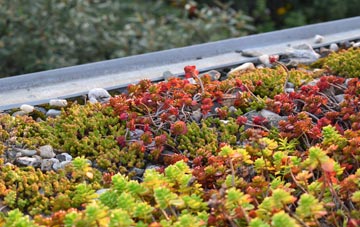 the cost of Skaill green roof installation
