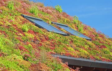 Skaill living roof systems