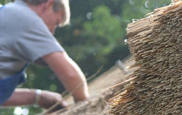 professional Skaill thatchers